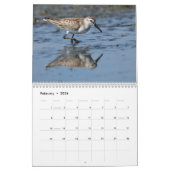 Calendrier de charadriidés (Feb 2026)