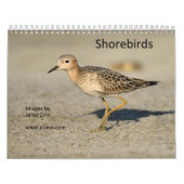 Calendrier de charadriidés (Protection)