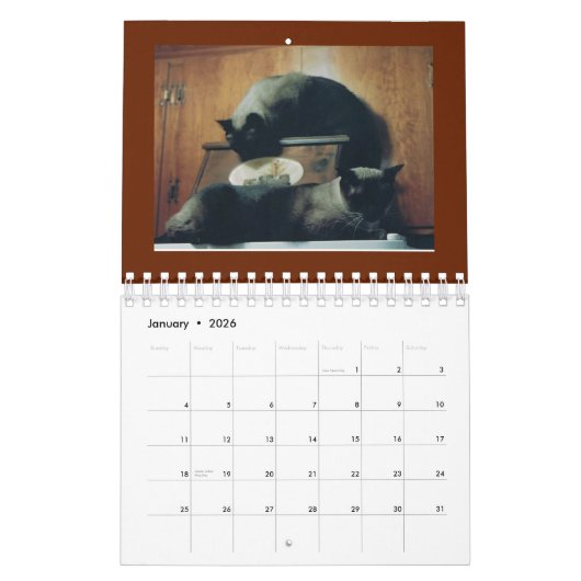 Calendrier de chat (Jan 2026)