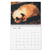 Calendrier de chat (Jan 2027)