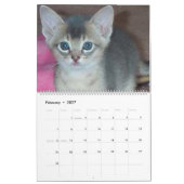Calendrier de chat (Feb 2027)
