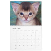 Calendrier de chat (Jan 2027)