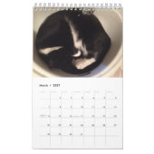 Calendrier de chat (Mar 2027)