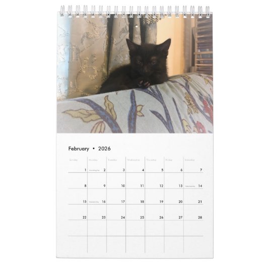 Calendrier de chat (Feb 2026)