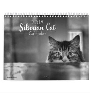 Calendrier de chat de 2018 Sibériens