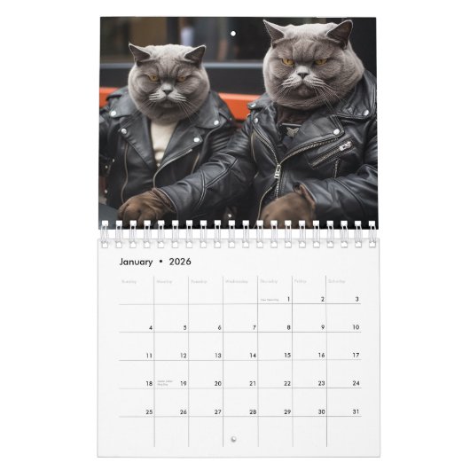 Calendrier de chat de poussette, Calendrier de cha (Jan 2026)