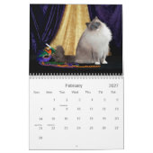 Calendrier de chat de Ragdoll (Feb 2027)