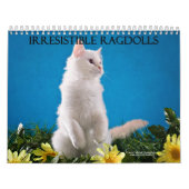 Calendrier de chat de Ragdoll (Protection)