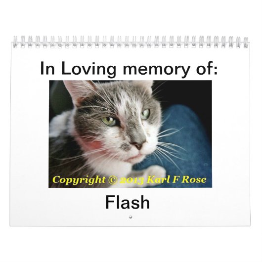 Calendrier de chat imprimé par coutume (Protection)