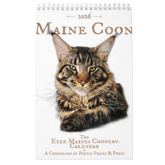 Calendrier de chat Maine Coon 2026 (Protection)