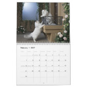 Calendrier de chat persan blanc (Feb 2027)