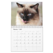Calendrier de chat siamois (Feb 2027)