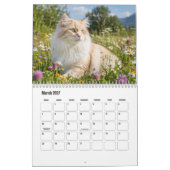 Calendrier de chat sibérien  (Mar 2027)