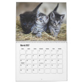 Calendrier de chaton mignon (Mar 2027)