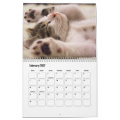 Calendrier de chaton mignon (Feb 2027)