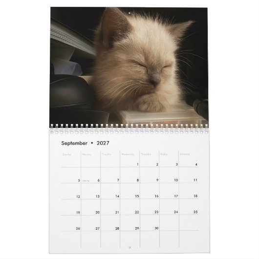 Calendrier de chaton mignon pour 2026 (Sep 2027)