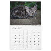 Calendrier de chaton mignon pour 2026 (Jan 2027)