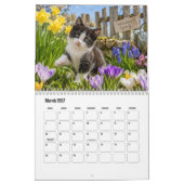 Calendrier de chatons (Mar 2027)