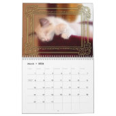 Calendrier de chatons de Ragdoll (Mar 2026)