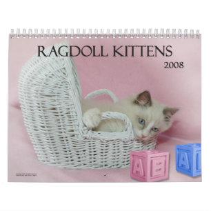 Calendrier de chatons de Ragdoll