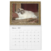 Calendrier de chatons de Ragdoll (Feb 2027)