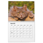 Calendrier de chats (Mar 2027)