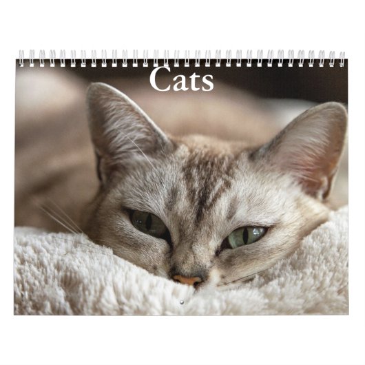 Calendrier de chats (Protection)