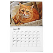 Calendrier de chats (Feb 2027)
