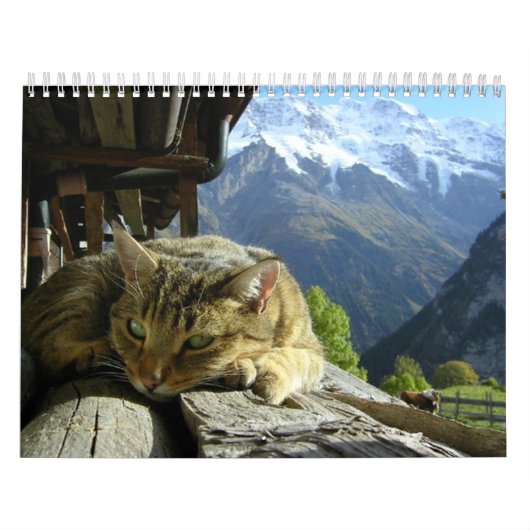 Calendrier de chats (Protection)