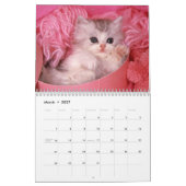 Calendrier de chats (Mar 2027)