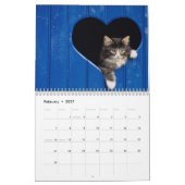 Calendrier de chats (Feb 2027)