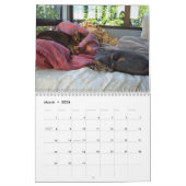 Calendrier de chats (Mar 2026)