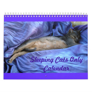 Calendrier de chats