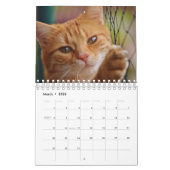 Calendrier de chats (Mar 2026)
