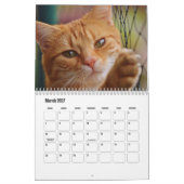 Calendrier de chats amis mignons et poilus (Mar 2027)