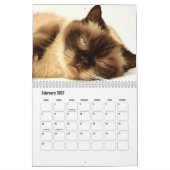 Calendrier de chats amis mignons et poilus (Feb 2027)