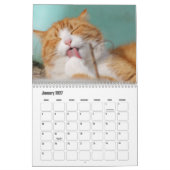Calendrier de chats amis mignons et poilus (Jan 2027)
