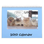 Calendrier de chats de LOL (Protection)