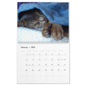 Calendrier de chats de sommeil (Feb 2026)
