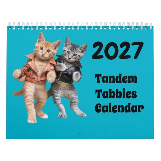 Calendrier de chats Tandem Tabbies 2027 (Protection)