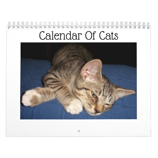 Calendrier de chats tigrés (Protection)