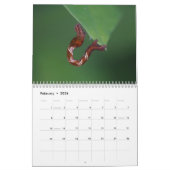 Calendrier de chenilles (Feb 2026)