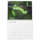 Calendrier de chenilles de série de jardin (Jan 2026)