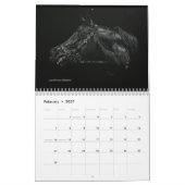 Calendrier de cheval (Feb 2027)