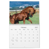 Calendrier de cheval (Feb 2027)