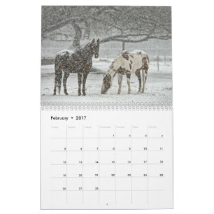 Calendrier de cheval