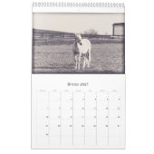Calendrier de chevaux... (Feb 2027)