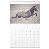 Calendrier de chevaux... (Mar 2027)