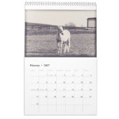 Calendrier de chevaux... (Feb 2027)