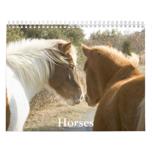 Calendrier de chevaux (Protection)